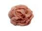 Preview: rosa
