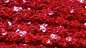Preview: rot hologramm