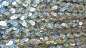 Preview: silber hologramm