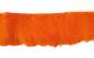 Preview: orange