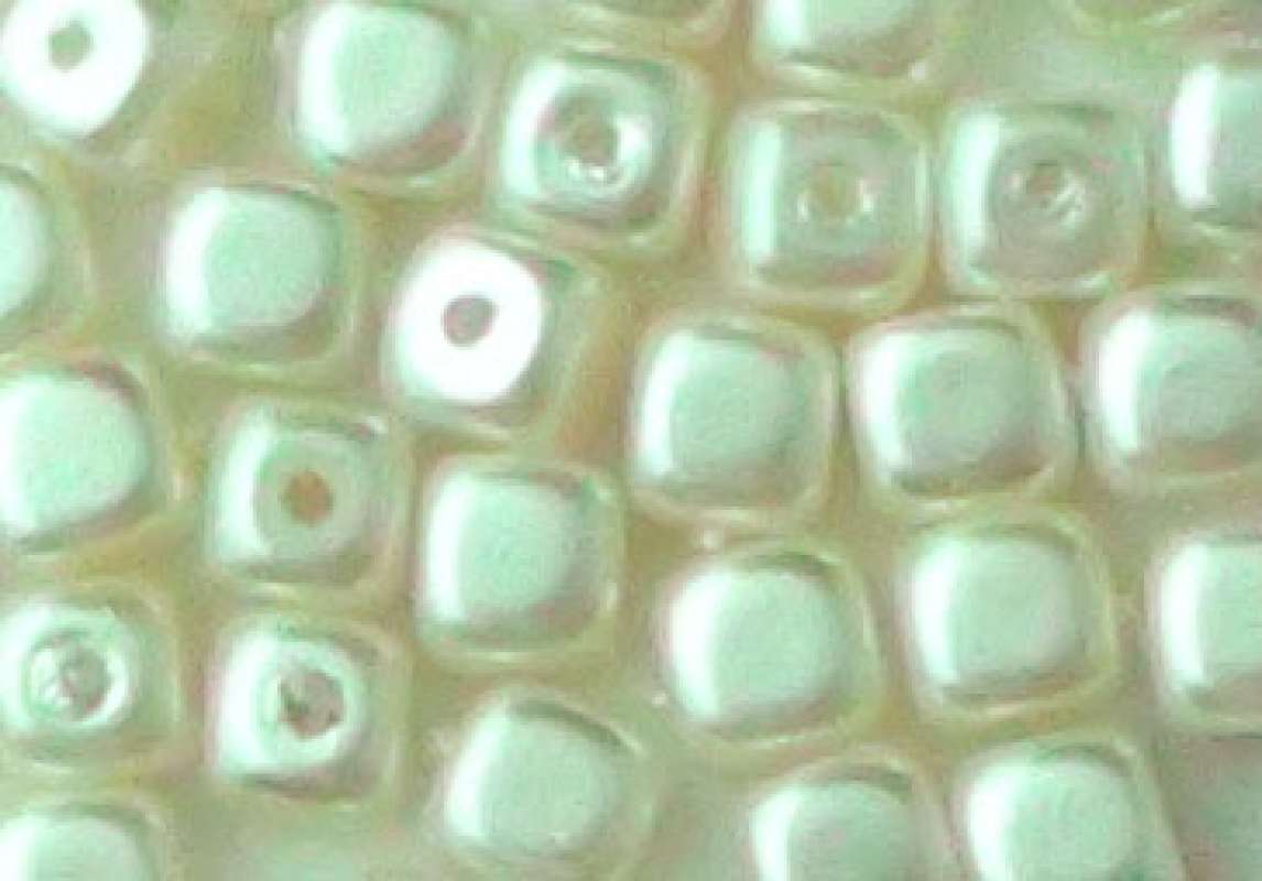 Renaissance-Würfel 4,5x5mm weiß Wachsperlen Perlen Schmuckperlen