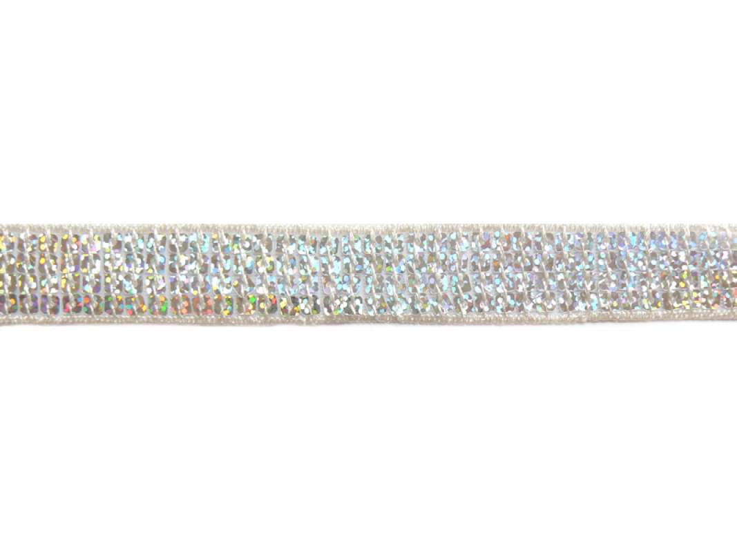 silber hologramm 61