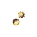 Perlenkappel 4mm gold 50 Stück im SB-Beutel
