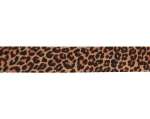 Leopard 28