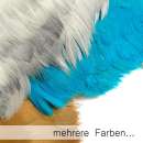 Federfranse 