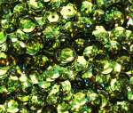 Pailletten 6mm gewölbt kiwi hologramm, 6g Dose